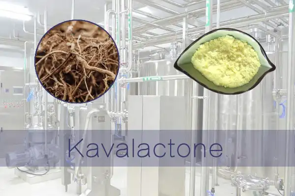 Kavalactone powder.jpg